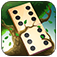 Domino Solitaire